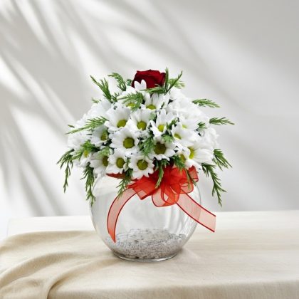 Tek Dal Beyaz Kırmızı Papatya & Gül Vazoda