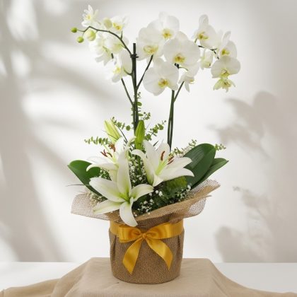 2'Li Beyaz Orkide & Lilyum Saksıda