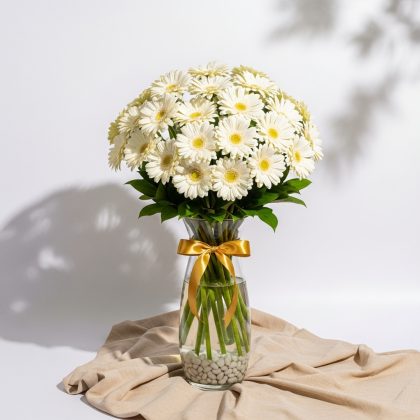 Beyaz Gerbera Vazoda